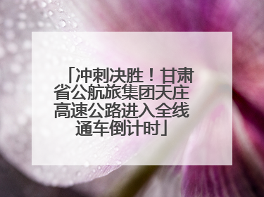 冲刺决胜！甘肃省公航旅集团天庄高速公路进入全线通车倒计时