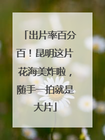 出片率百分百！昆明这片花海美炸啦，随手一拍就是大片