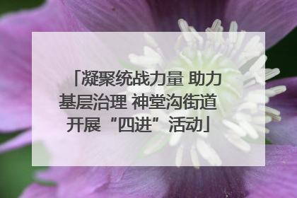 凝聚统战力量 助力基层治理 神堂沟街道开展“四进”活动