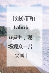 刘亦菲和Labubu握手，现场观众一片尖叫