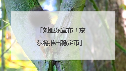 刘强东宣布！京东将推出稳定币