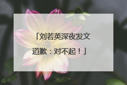 刘若英深夜发文道歉：对不起！