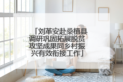 刘革安赴桑植县调研巩固拓展脱贫攻坚成果同乡村振兴有效衔接工作