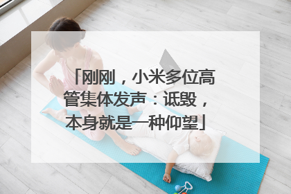 刚刚，小米多位高管集体发声：诋毁，本身就是一种仰望