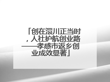 创在澴川正当时，人社护航创业路——孝感市返乡创业成效显著