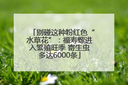 别碰这种粉红色“水草花”：福寿螺进入繁殖旺季 寄生虫多达6000条