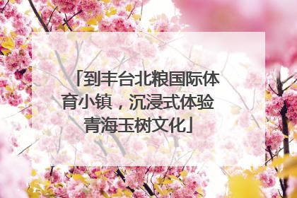 到丰台北粮国际体育小镇，沉浸式体验青海玉树文化
