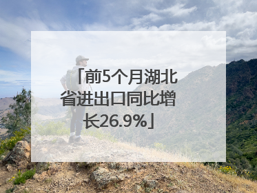 前5个月湖北省进出口同比增长26.9%