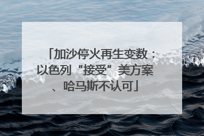 加沙停火再生变数：以色列“接受”美方案、哈马斯不认可