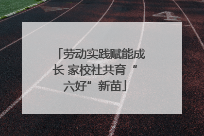 劳动实践赋能成长 家校社共育“六好”新苗