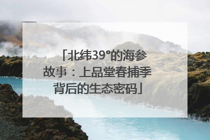 北纬39°的海参故事：上品堂春捕季背后的生态密码