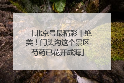 北京号最精彩｜绝美！门头沟这个景区芍药已花开成海