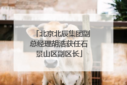 北京北辰集团副总经理胡浩获任石景山区副区长