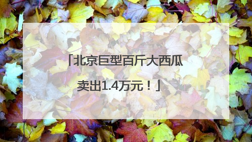 北京巨型百斤大西瓜卖出1.4万元！