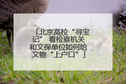 北京高校“寻宝记” 看检察机关和文保单位如何给文物“上户口”