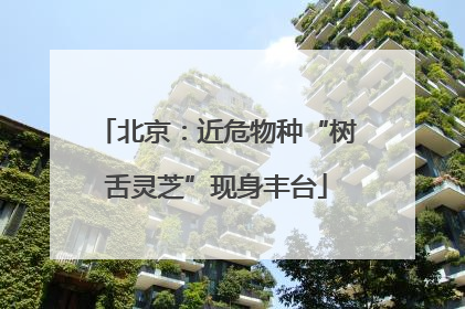 北京：近危物种“树舌灵芝”现身丰台