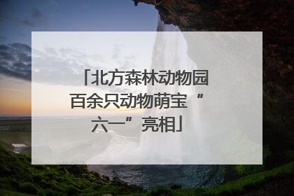 北方森林动物园百余只动物萌宝“六一”亮相