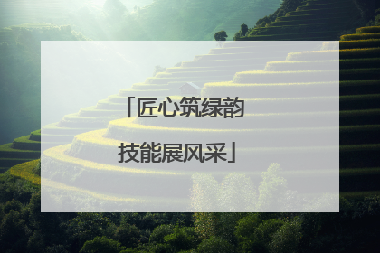匠心筑绿韵 技能展风采