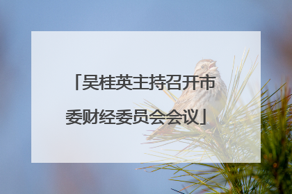 吴桂英主持召开市委财经委员会会议