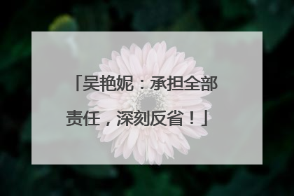 吴艳妮：承担全部责任，深刻反省！