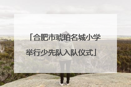 合肥市琥珀名城小学举行少先队入队仪式