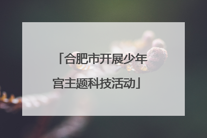 合肥市开展少年宫主题科技活动