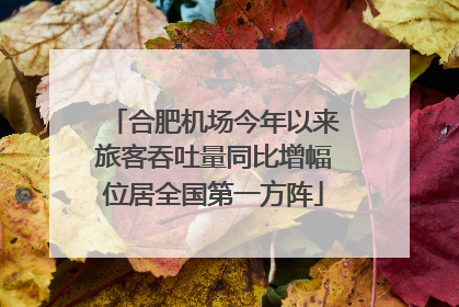 合肥机场今年以来旅客吞吐量同比增幅位居全国第一方阵