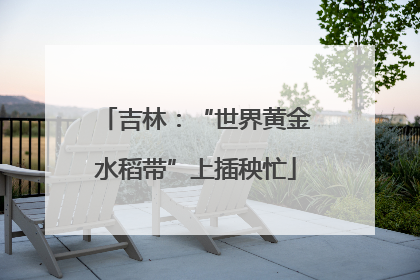 吉林：“世界黄金水稻带”上插秧忙
