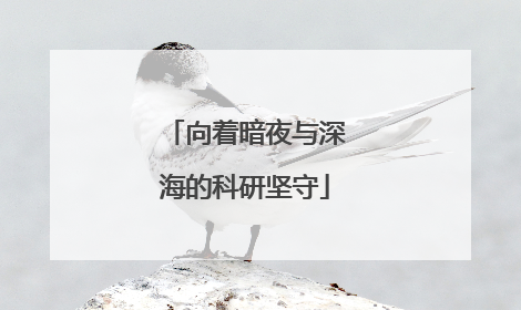 向着暗夜与深海的科研坚守