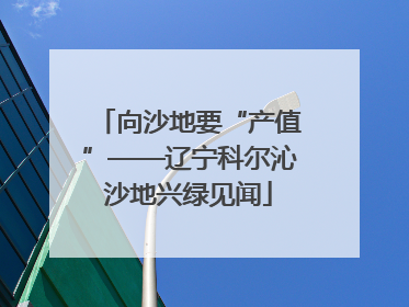 向沙地要“产值”——辽宁科尔沁沙地兴绿见闻