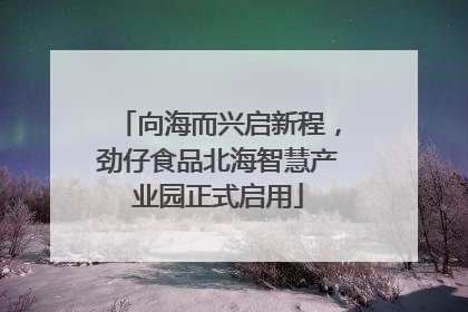 向海而兴启新程，劲仔食品北海智慧产业园正式启用