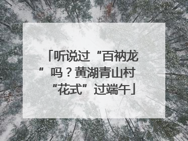 听说过“百衲龙”吗？黄湖青山村“花式”过端午