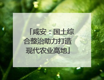 咸安：国土综合整治助力打造现代农业高地
