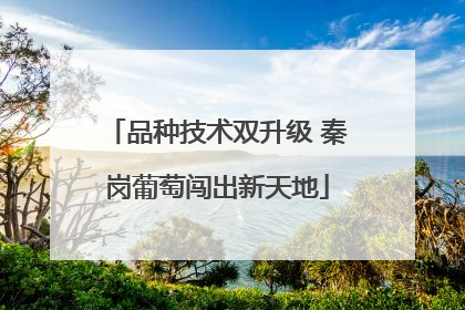 品种技术双升级 秦岗葡萄闯出新天地