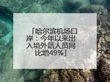 哈尔滨机场口岸：今年以来出入境外籍人员同比增49%