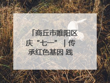 商丘市睢阳区庆“七一”｜传承红色基因 践行初心使命