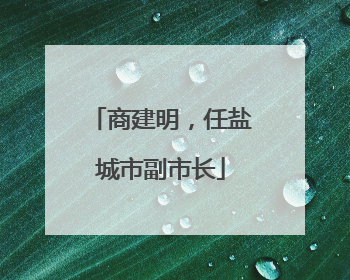 商建明，任盐城市副市长