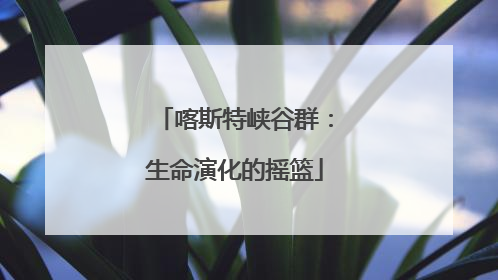 喀斯特峡谷群：生命演化的摇篮