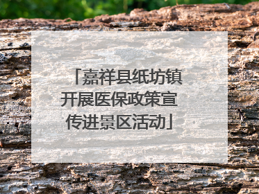 嘉祥县纸坊镇开展医保政策宣传进景区活动