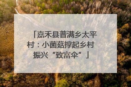 嘉禾县普满乡太平村：小菌菇撑起乡村振兴“致富伞”