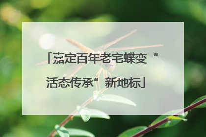 嘉定百年老宅蝶变“活态传承”新地标