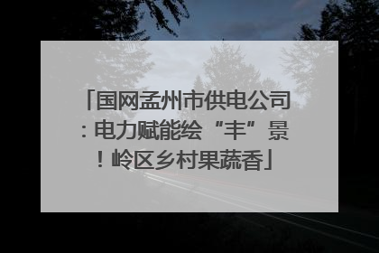 国网孟州市供电公司：电力赋能绘“丰”景！岭区乡村果蔬香