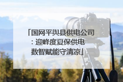 国网平舆县供电公司：迎峰度夏保供电  数智赋能守清凉