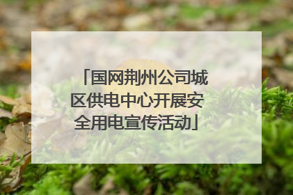 国网荆州公司城区供电中心开展安全用电宣传活动