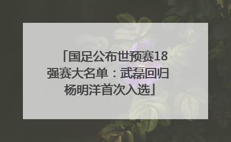 国足公布世预赛18强赛大名单：武磊回归 杨明洋首次入选
