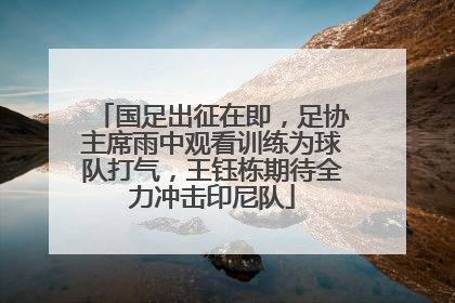 国足出征在即，足协主席雨中观看训练为球队打气，王钰栋期待全力冲击印尼队