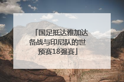 国足抵达雅加达备战与印尼队的世预赛18强赛