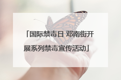 国际禁毒日 邓南街开展系列禁毒宣传活动