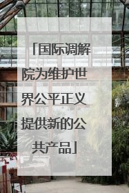 国际调解院为维护世界公平正义提供新的公共产品