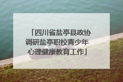 四川省盐亭县政协调研盐亭职校青少年心理健康教育工作